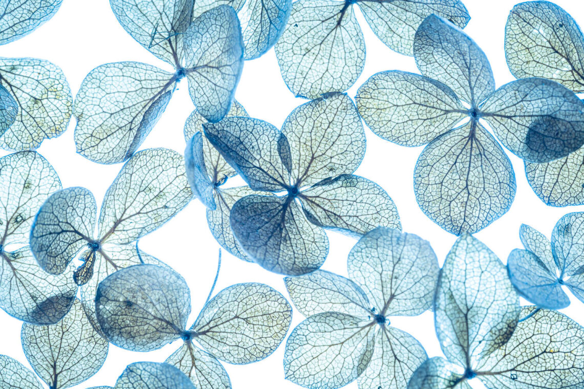 Lightpad Marjolein van Hekke